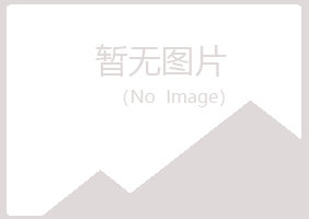 青岛黄岛白山建筑有限公司